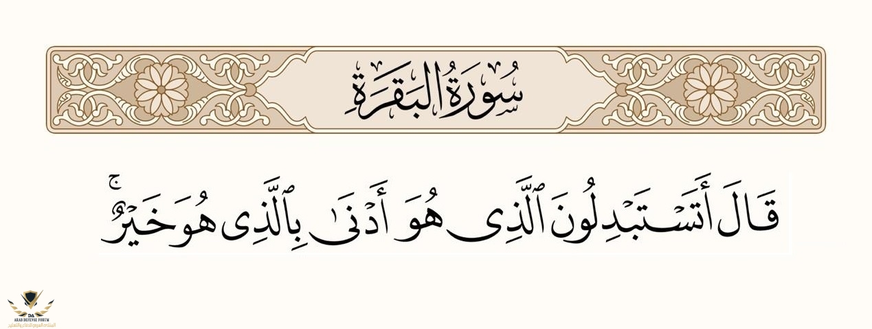 آية.jpg