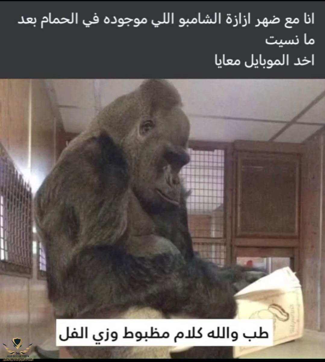 Screenshot_٢٠٢٥٠٦٢٧_١١٠٢٤٣_com_instagram_android_InstagramMainActivity_edit_90915003075681.jpg