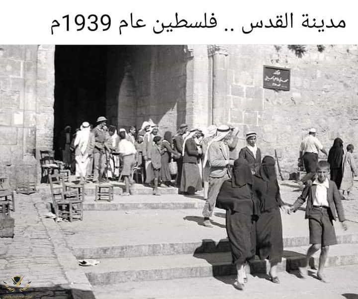 1751023735668.png