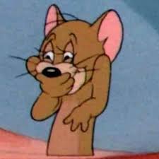 تنزيل (1).jpeg