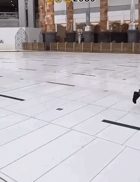 video_2025-07-05_00-50-27.gif