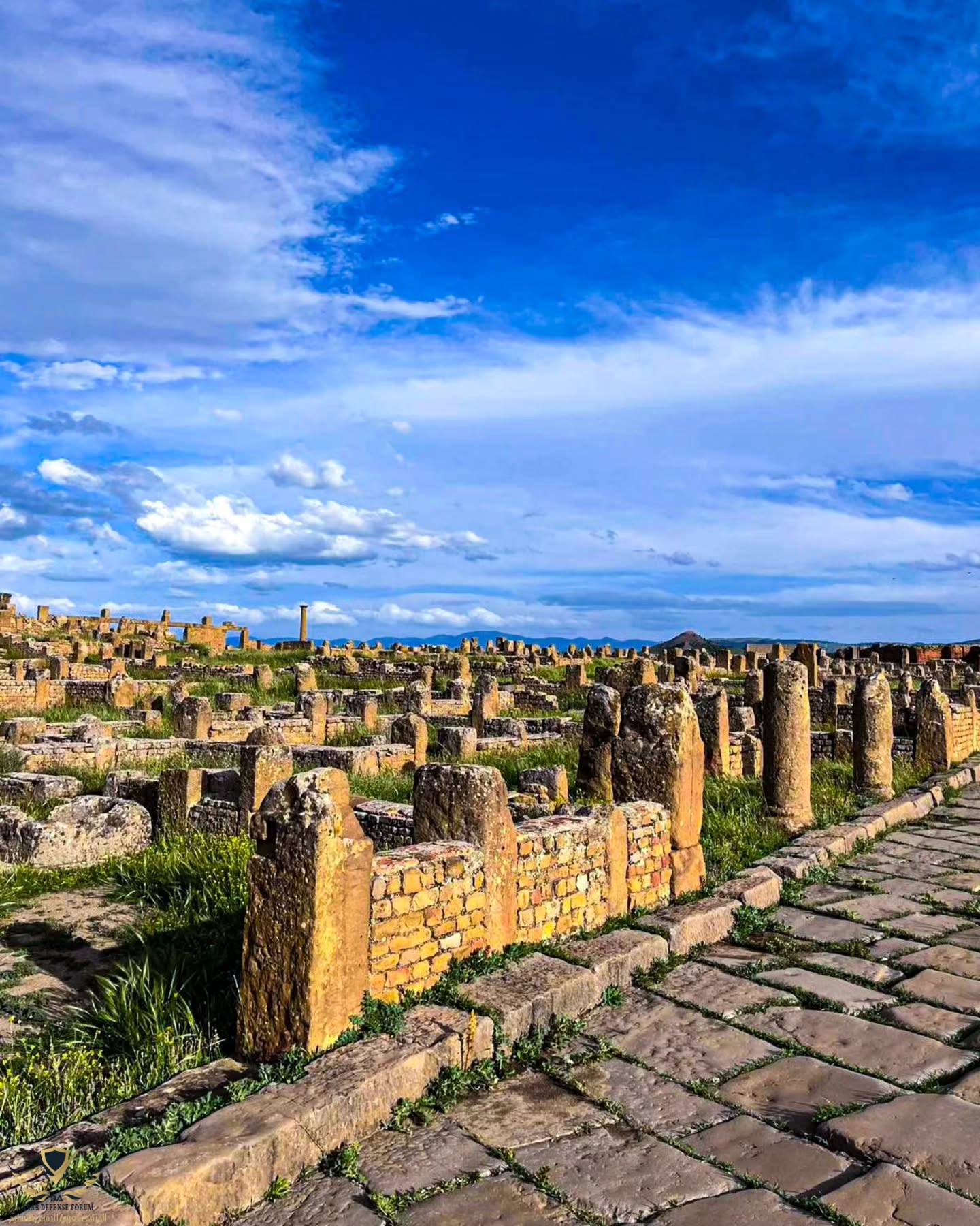 algerian_tourism16_1751713426090.jpeg