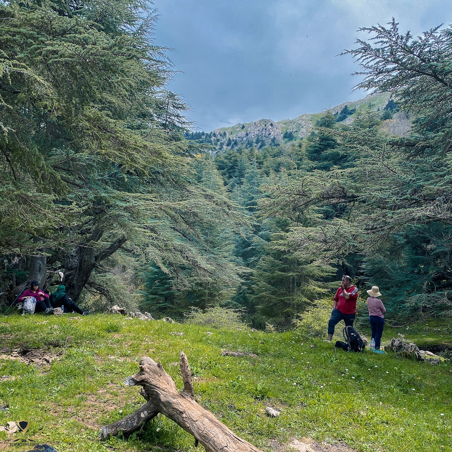 dz_hikers_1752433756141.jpeg