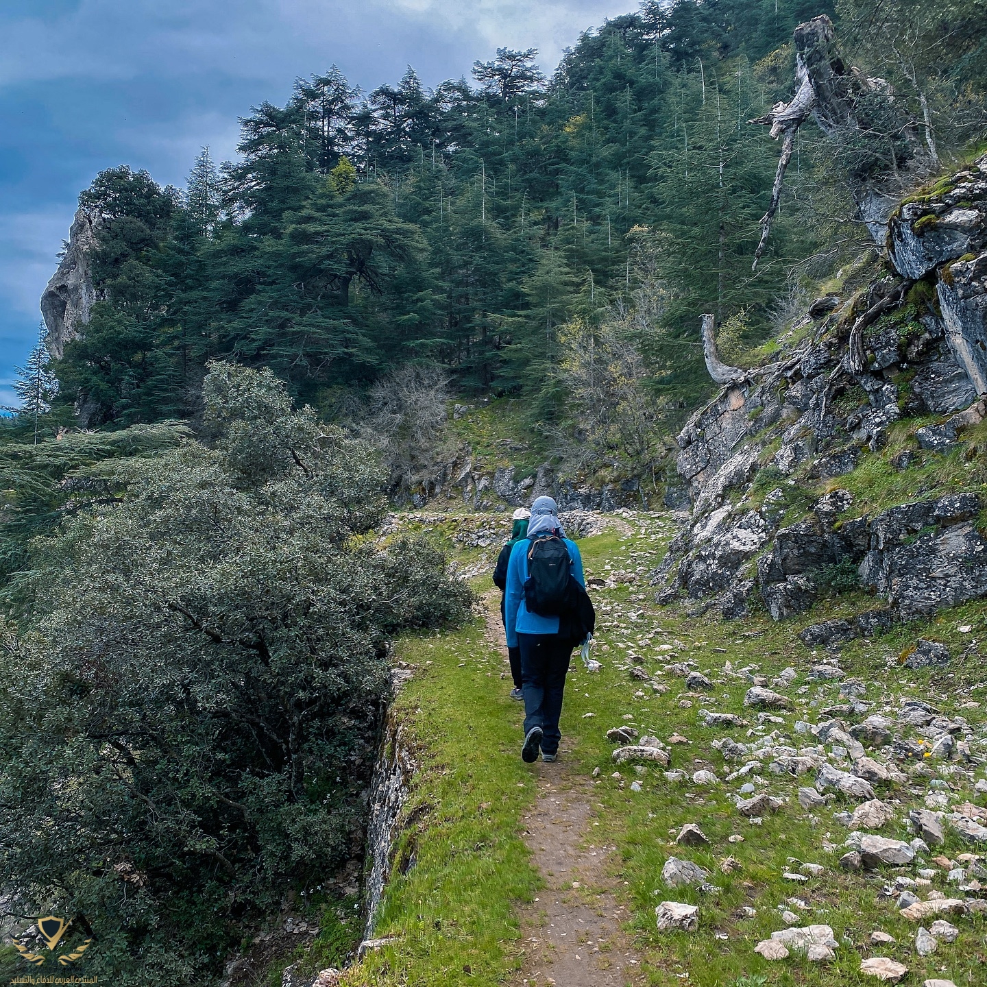 dz_hikers_1752433758892.jpeg