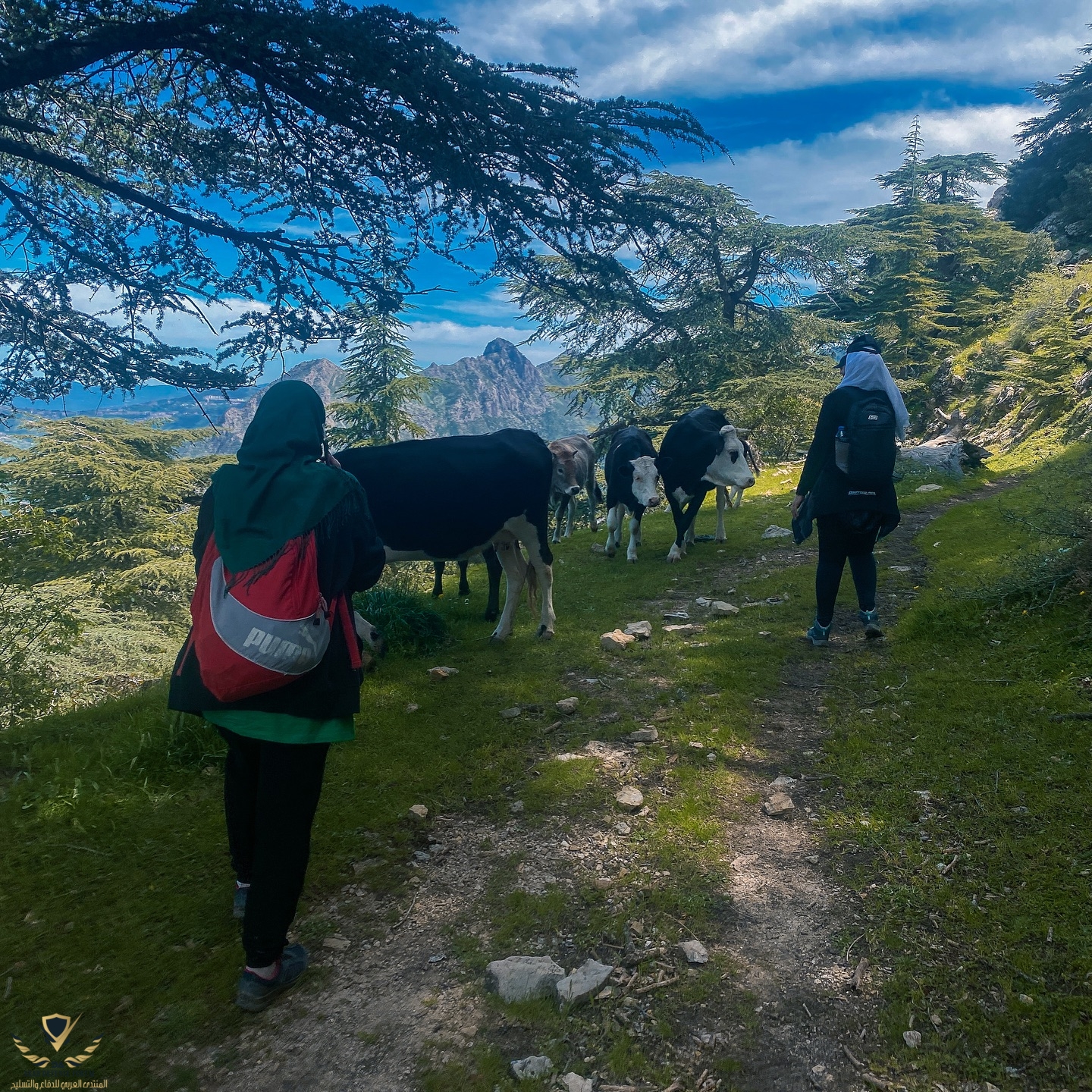 dz_hikers_1752433764987.jpeg