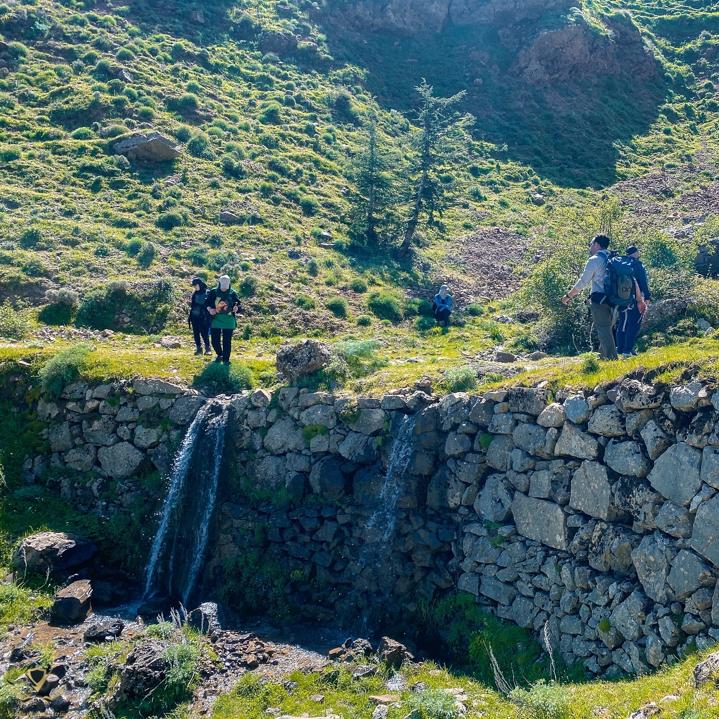 dz_hikers_1752433770340.jpeg