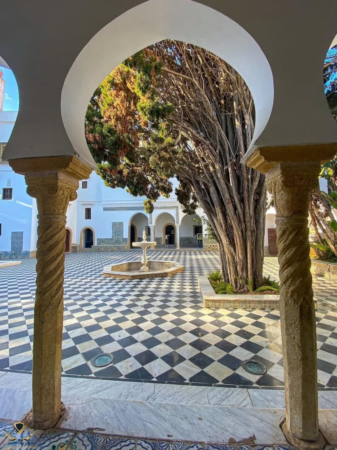 visit_algeria_1753039097094.jpeg