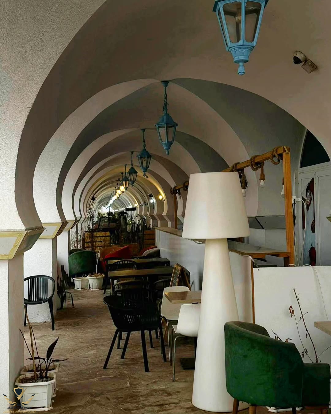 visit_algeria_1753039302790.jpeg