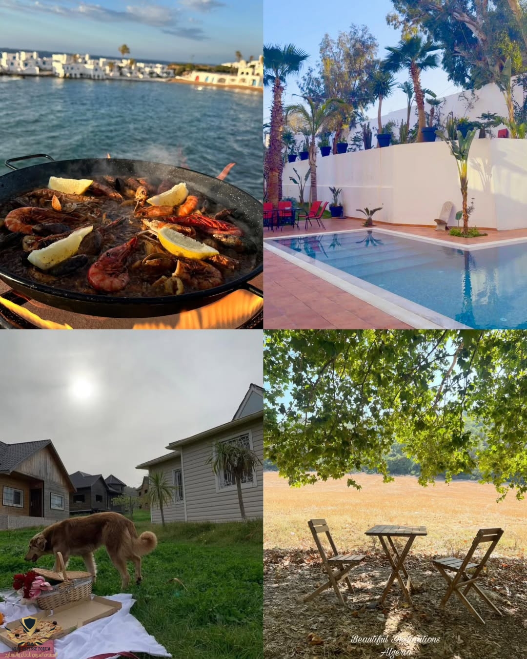 visit_algeria_1753111687224.jpeg