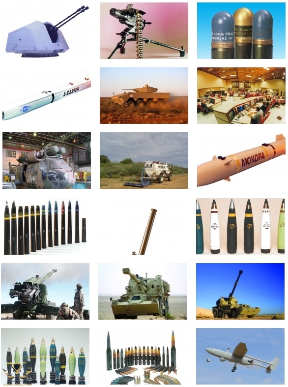 denel1.jpg