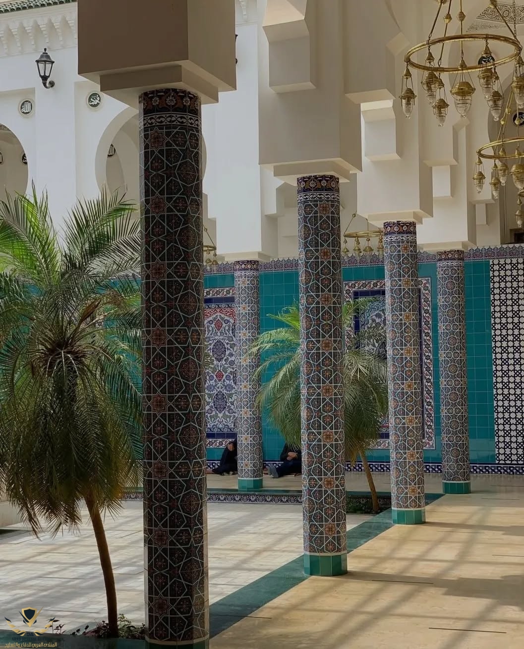 visit_algeria_1753463629907(1).jpeg