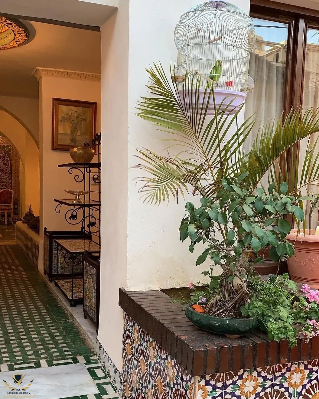 visit_algeria_1753464305770.jpeg