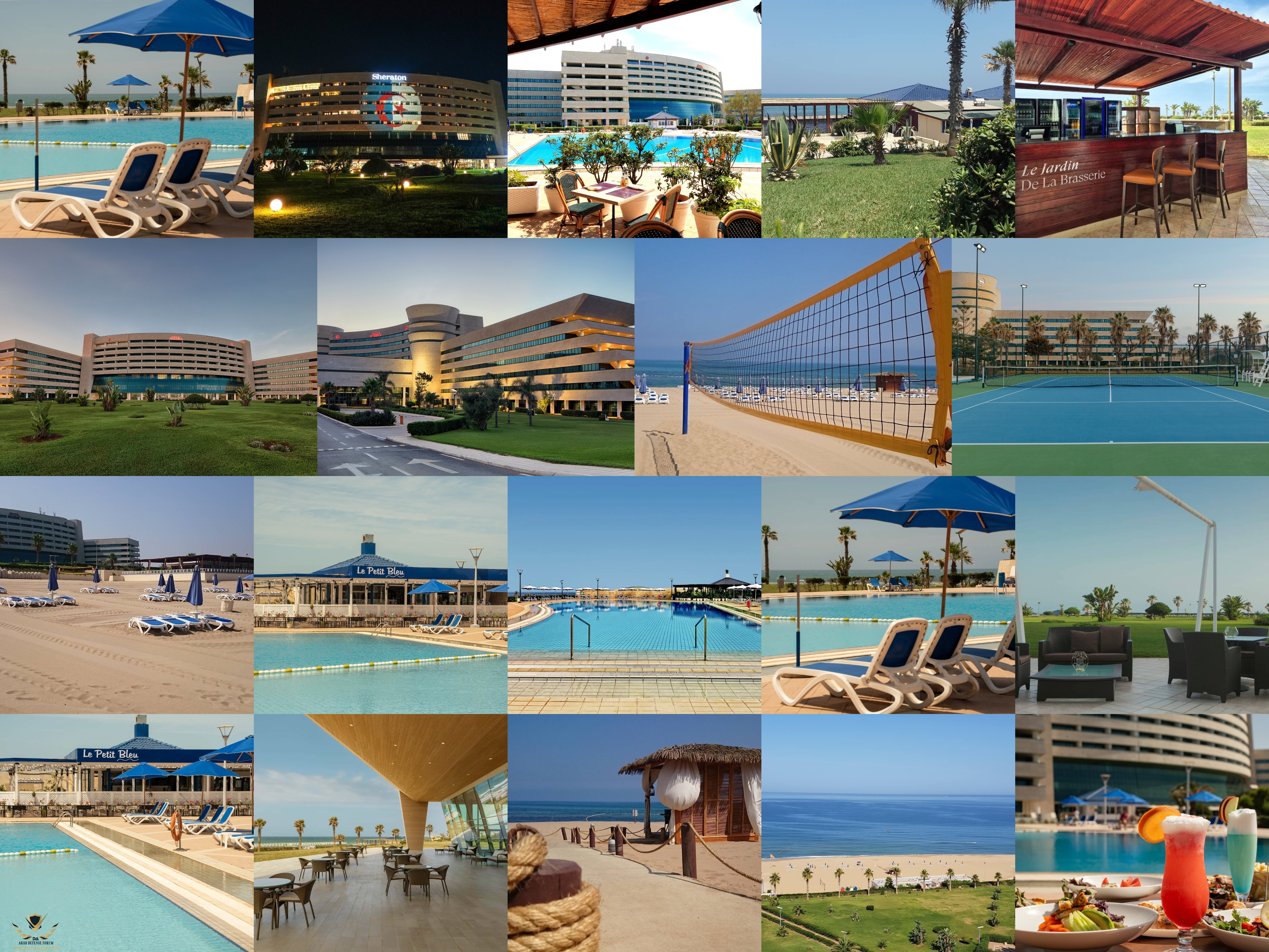 collage.jpg