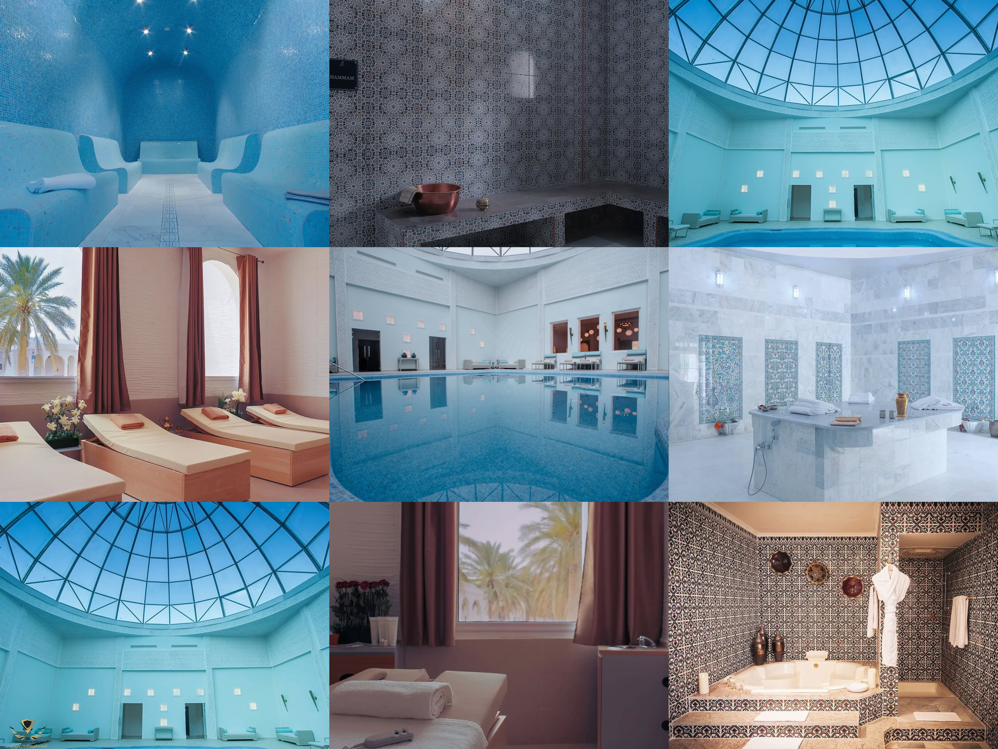 collage(1).jpg