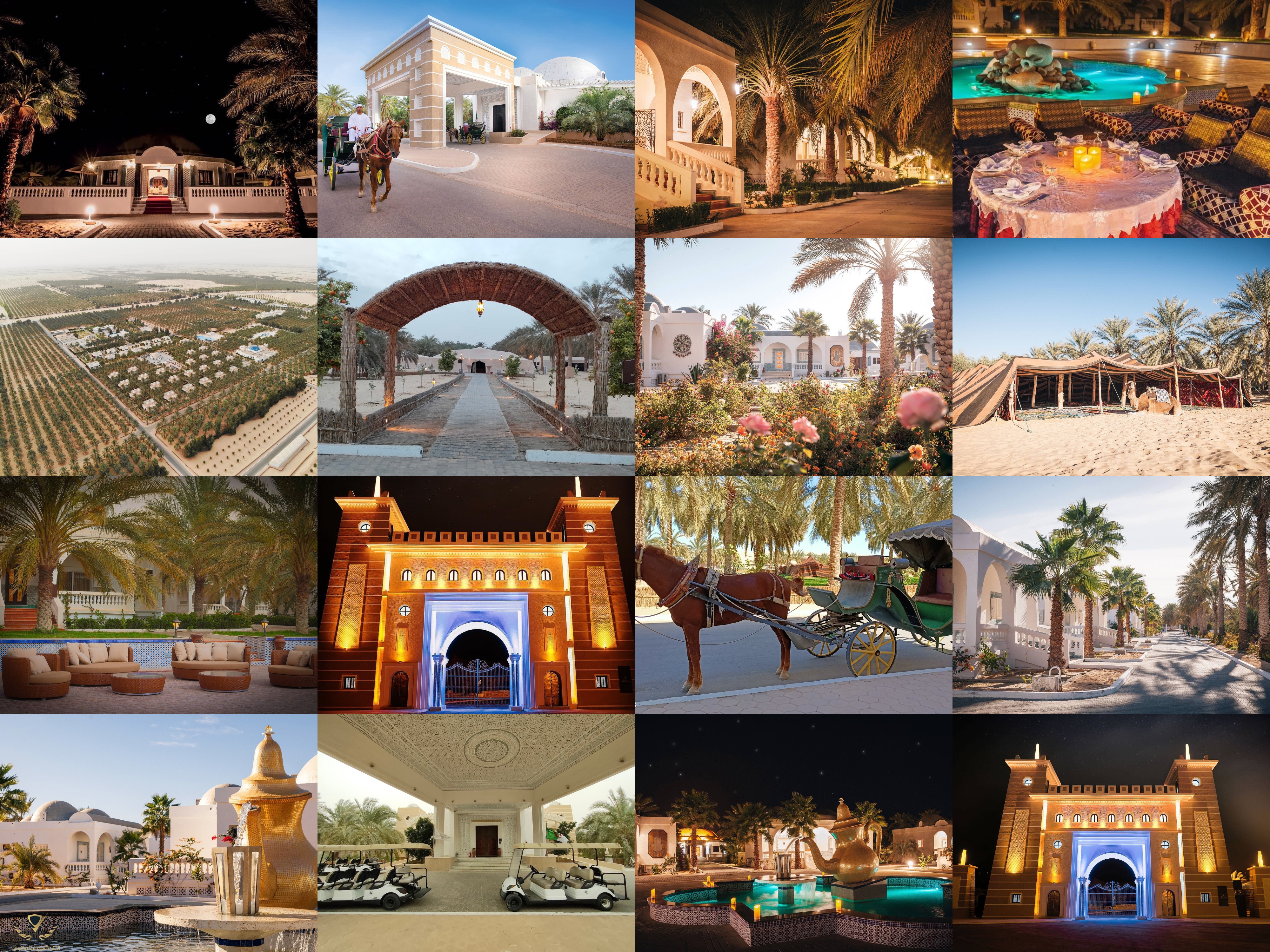 collage(3).jpg