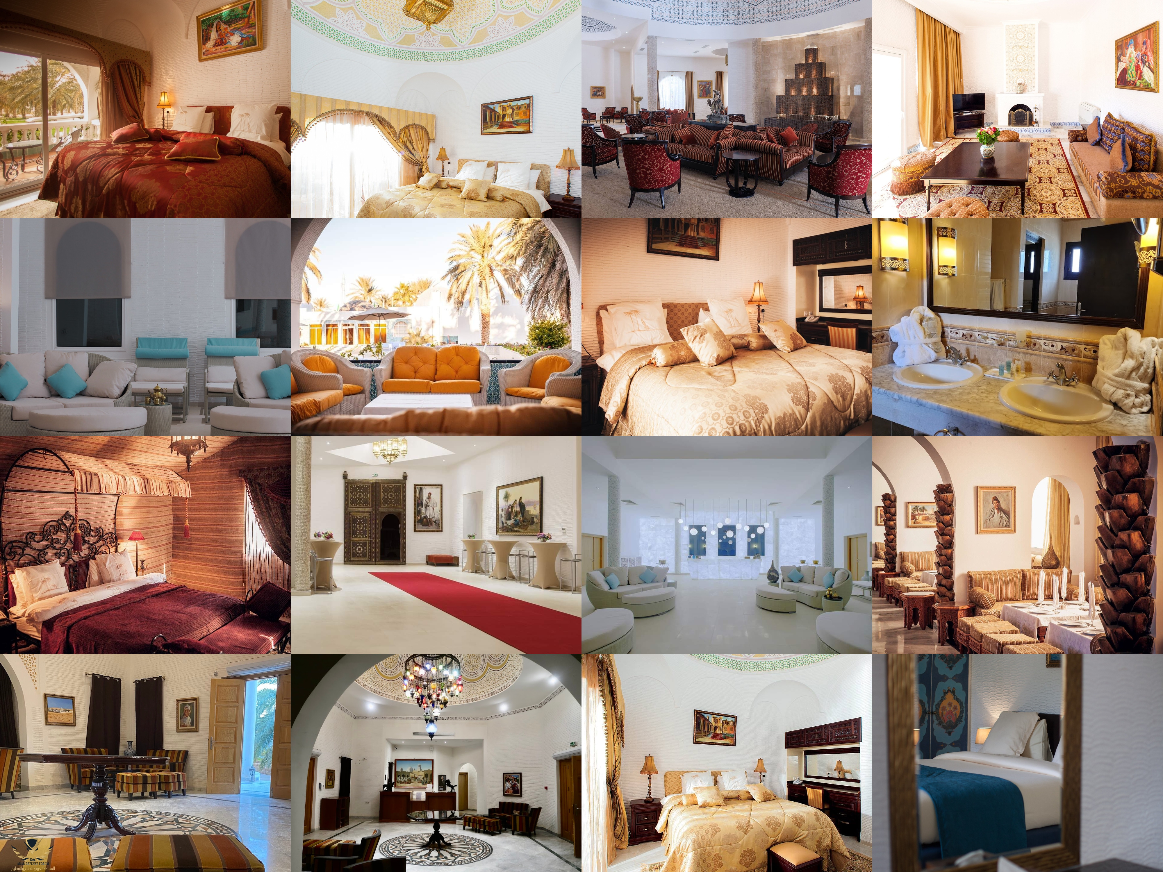 collage(4).jpg