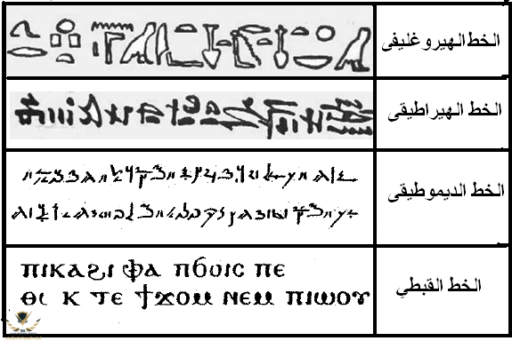 1754163915090.png