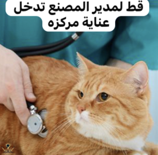 IMG_4761.jpeg