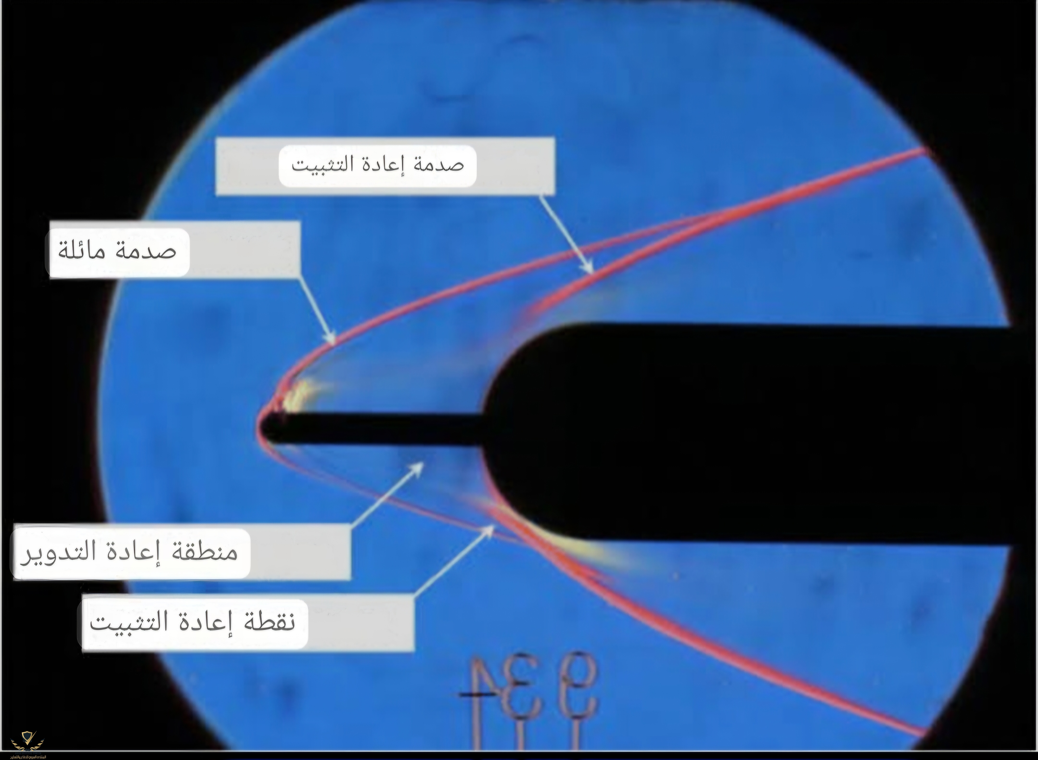 Screenshot_٢٠٢٥٠٨٠٤_١٦٢٨٥٣_Google.jpg