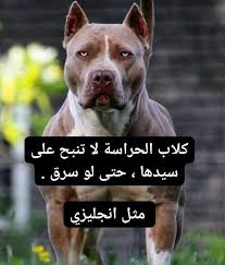 IMG_5721.jpeg