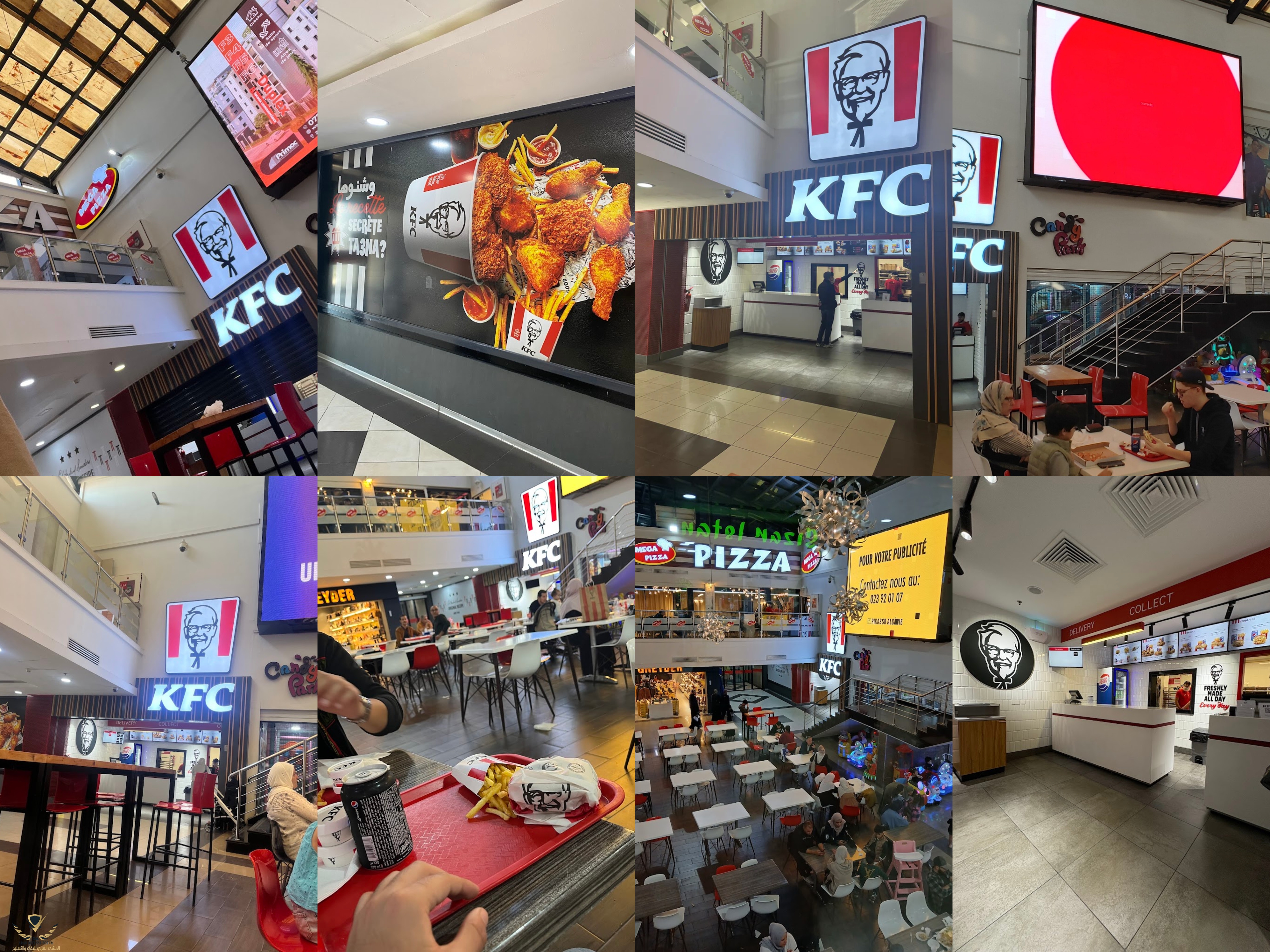 collagecxc.jpg