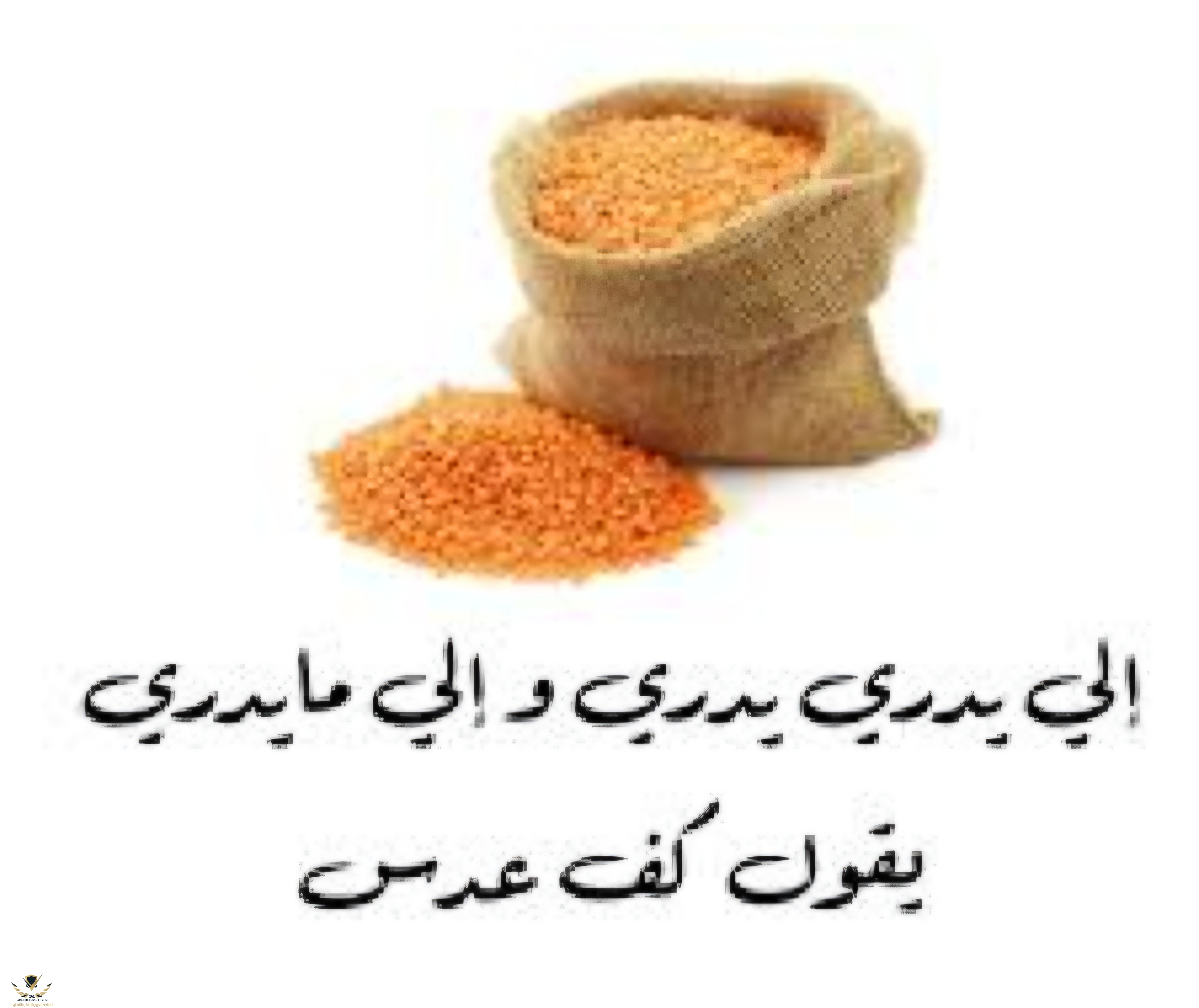 Screenshot_٢٠٢٥٠٨١٤_١٧٢٠١٤_Google.jpg