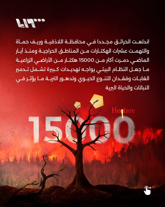 1755388373016.png