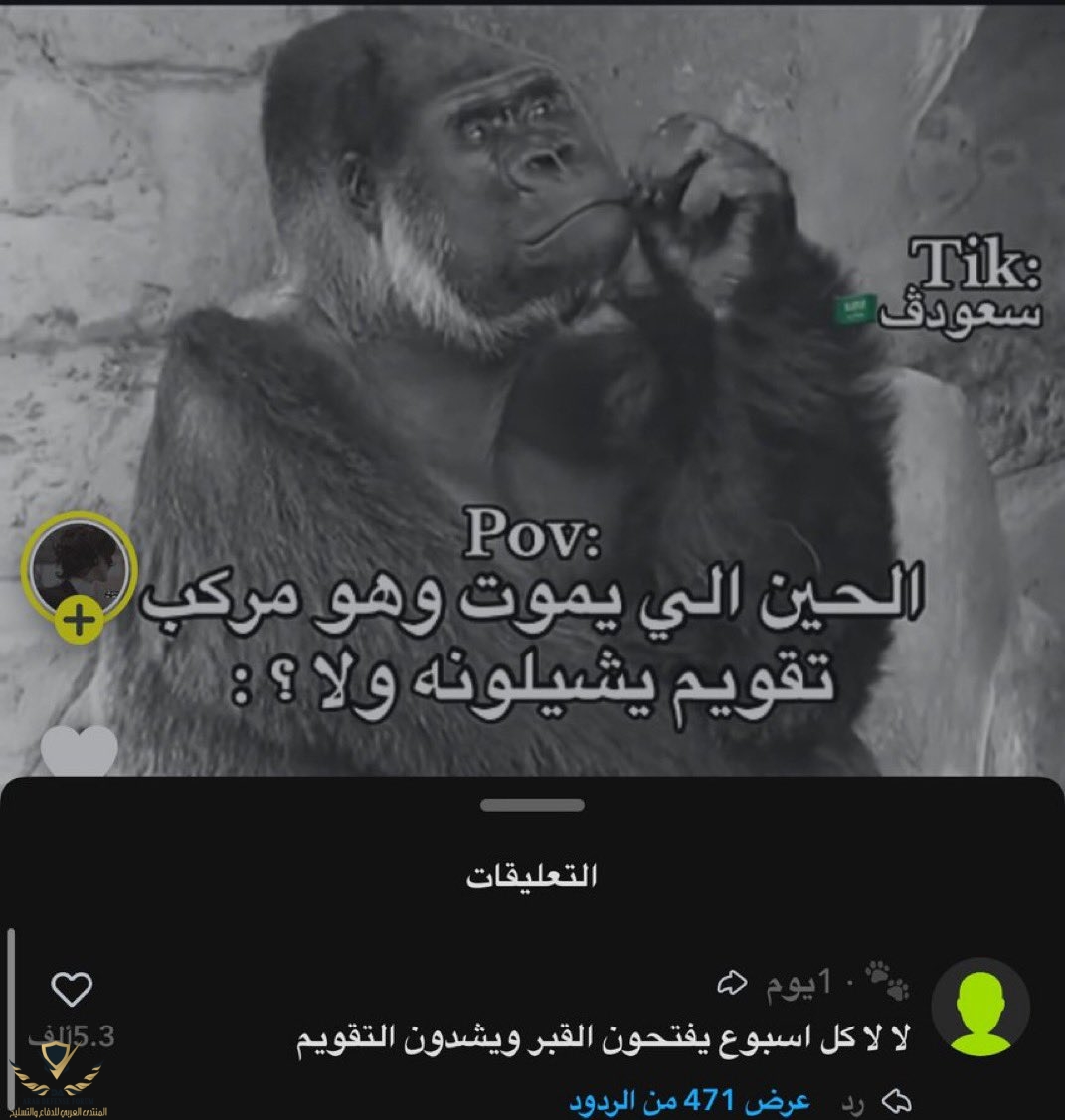 IMG_2129.jpeg