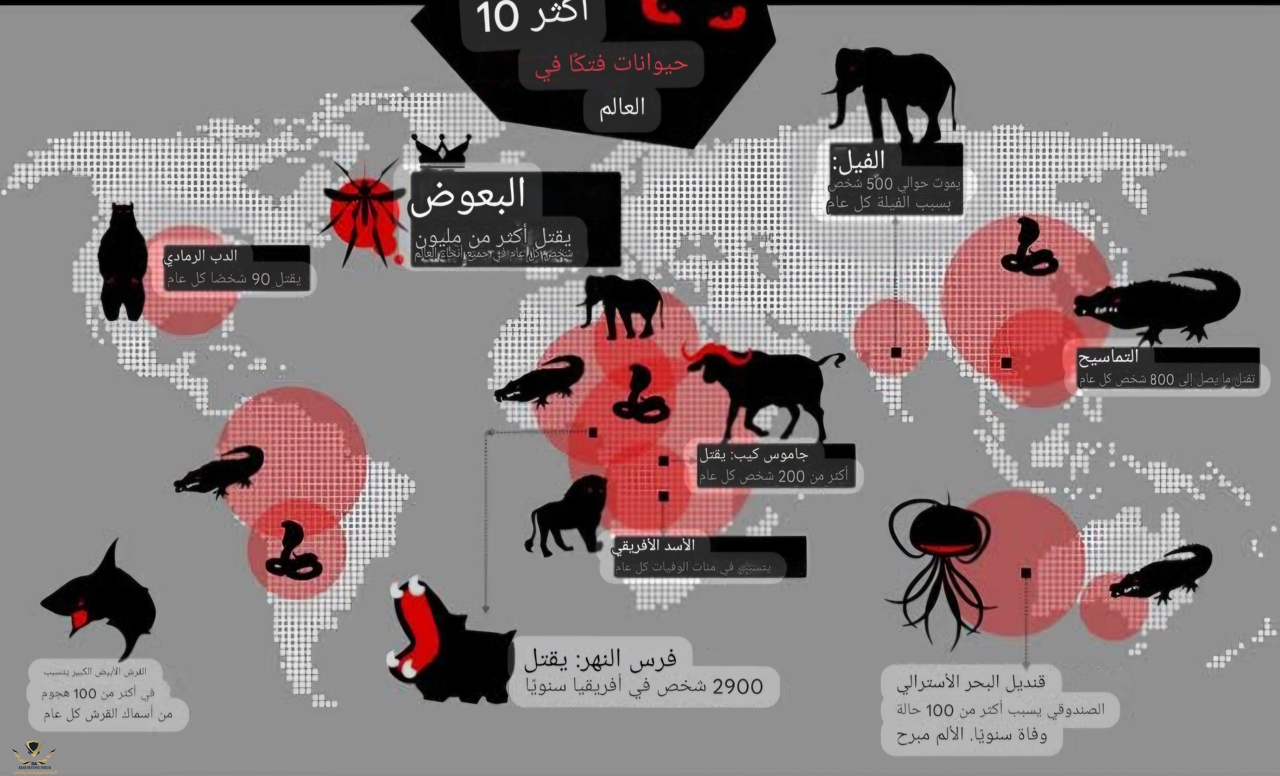 Screenshot_٢٠٢٥٠٨٢٥_٠٠٥٥٢٠_Google.jpg