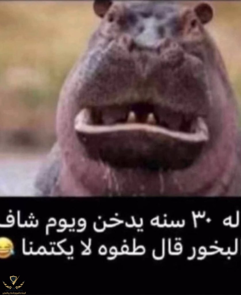 IMG_2165.jpeg