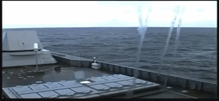 IMG_2655.gif