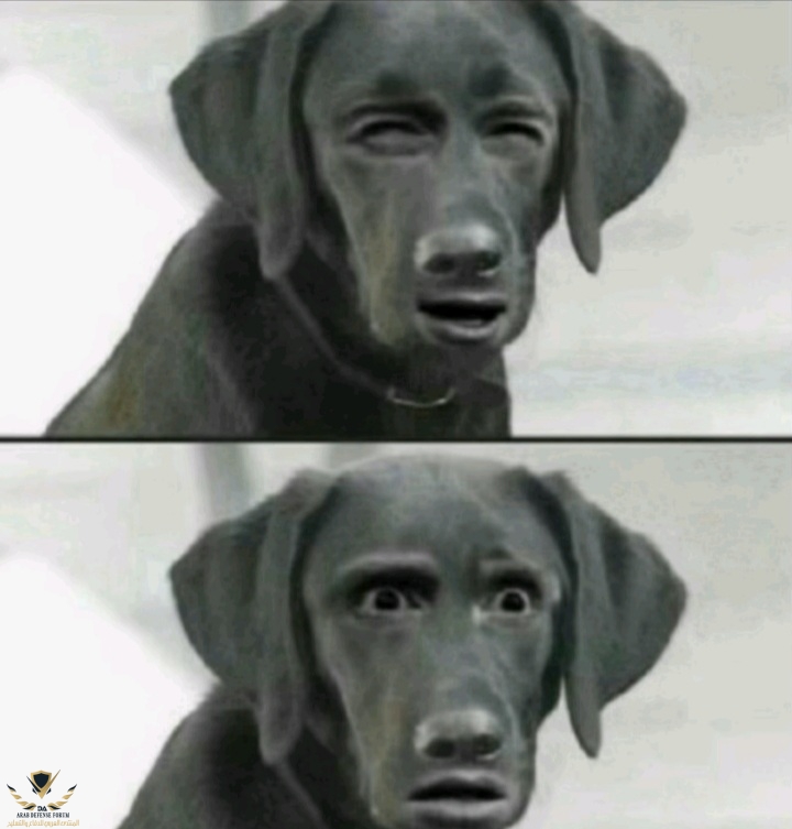 Screenshot_20250901-221715_TikTok.jpg