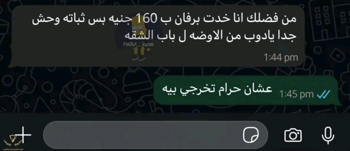 1759092690303.jpg