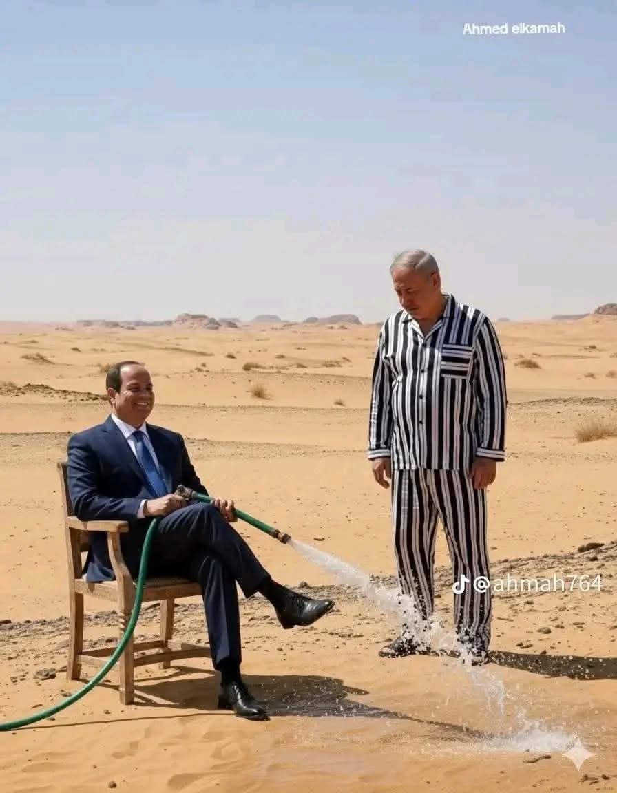 558957510.jpg
