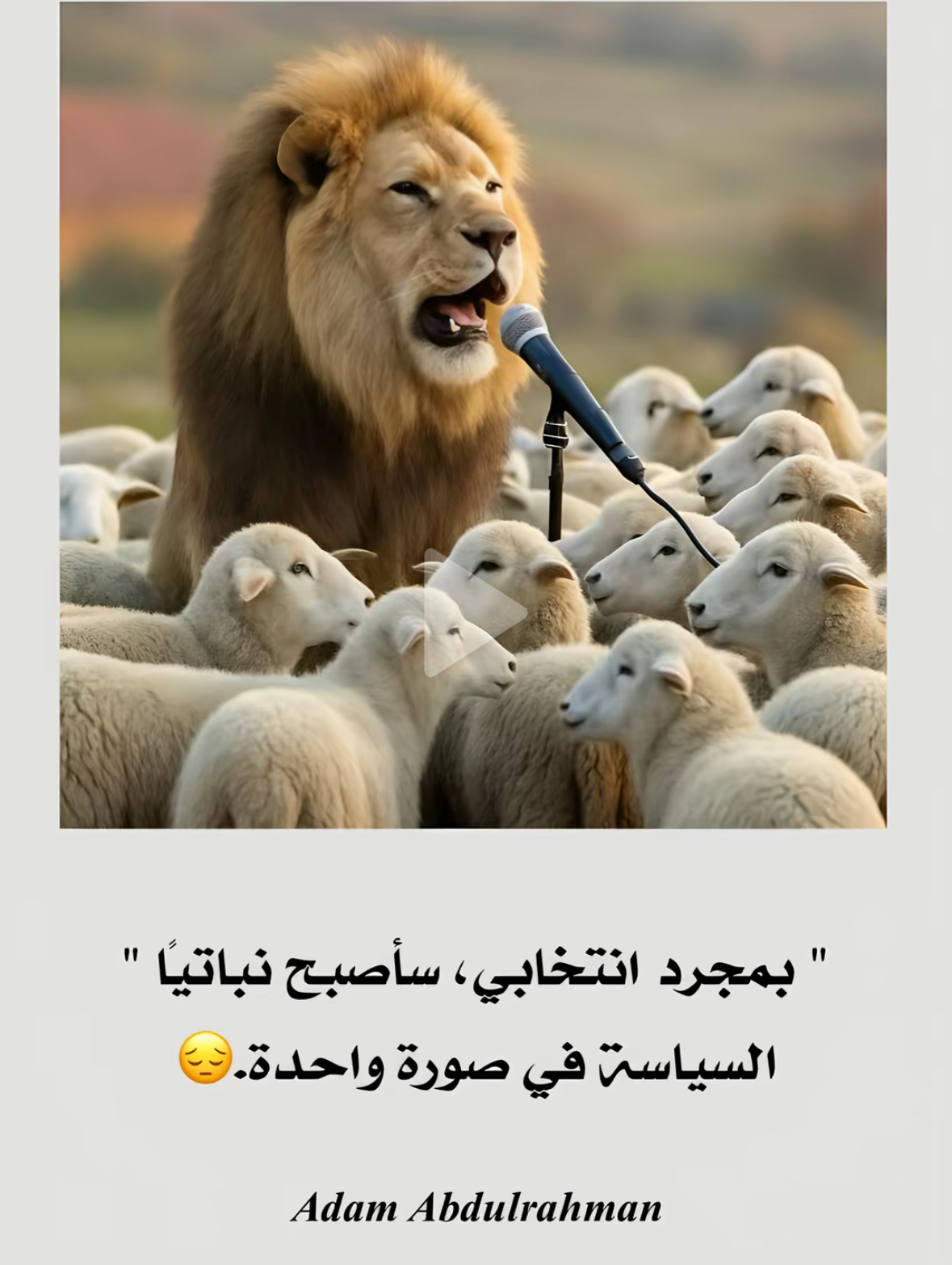 IMG_0560.jpeg
