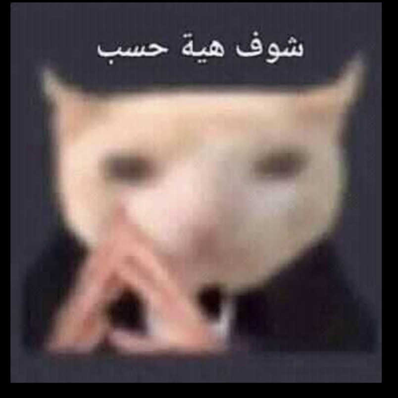 Screenshot_٢٠٢٥١٠٠٦_١٧٥٨٤٥_Facebook.jpg