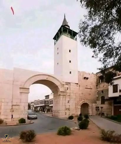 images (1) (13).jpeg