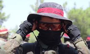 images (1) (14).jpeg