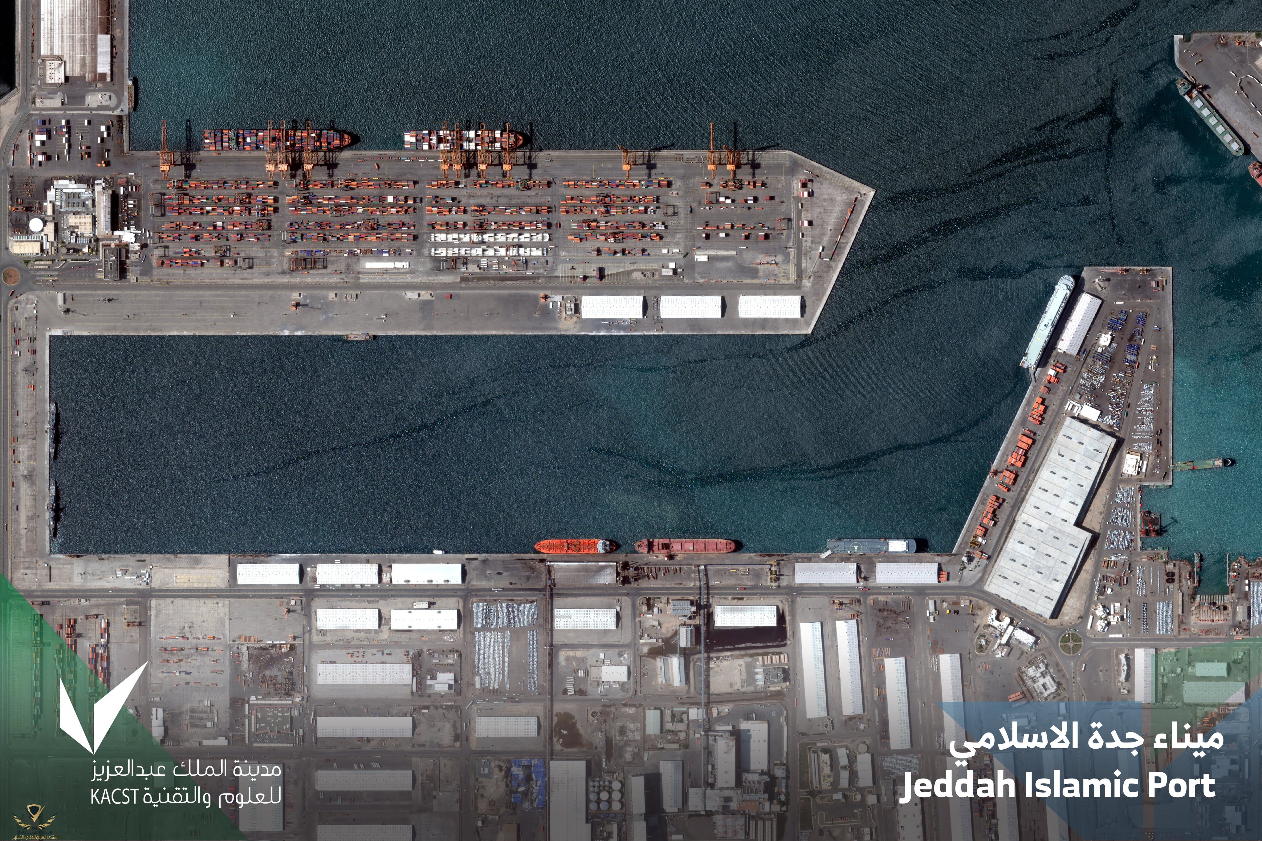 2026-01-17 23.02.55.jpg