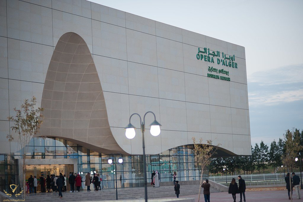 31254714042_1818a22df6_b (1) (1).png