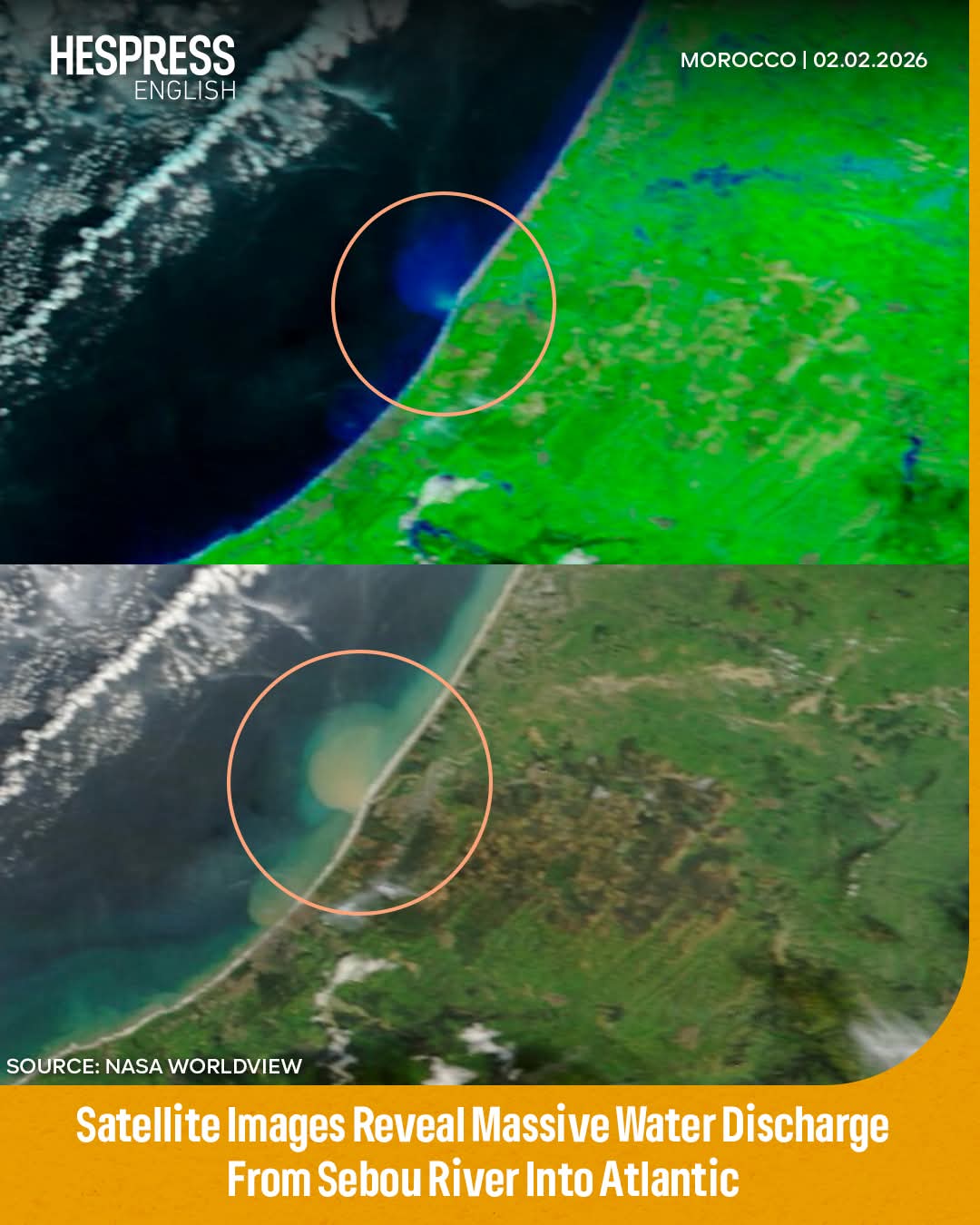 WhatsApp Image 2026-02-03 at 20.41.45.jpeg