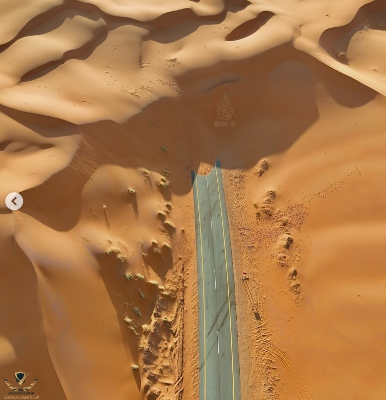 بدون عنوان.jpg