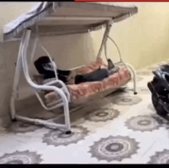 5841554945928601031 (online-video-cutter.com).gif