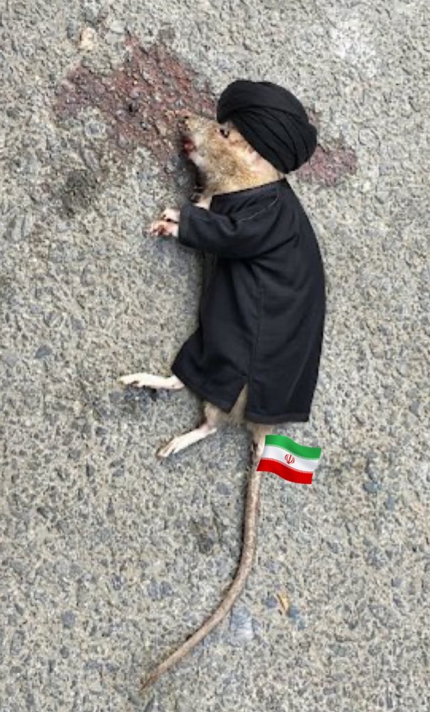٢٠٢٦٠٣٠١_٠٦٥٧٤٤.jpg