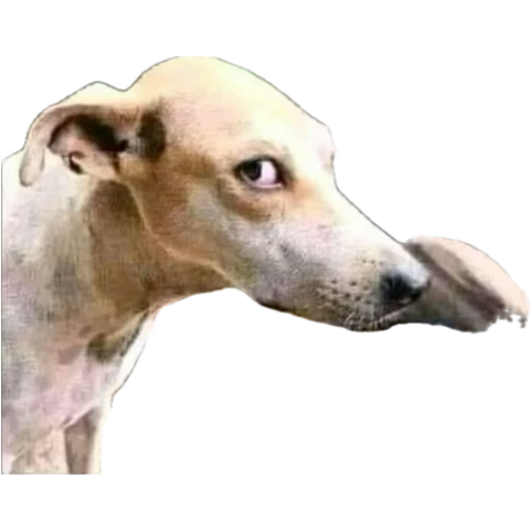 1772363557755.png
