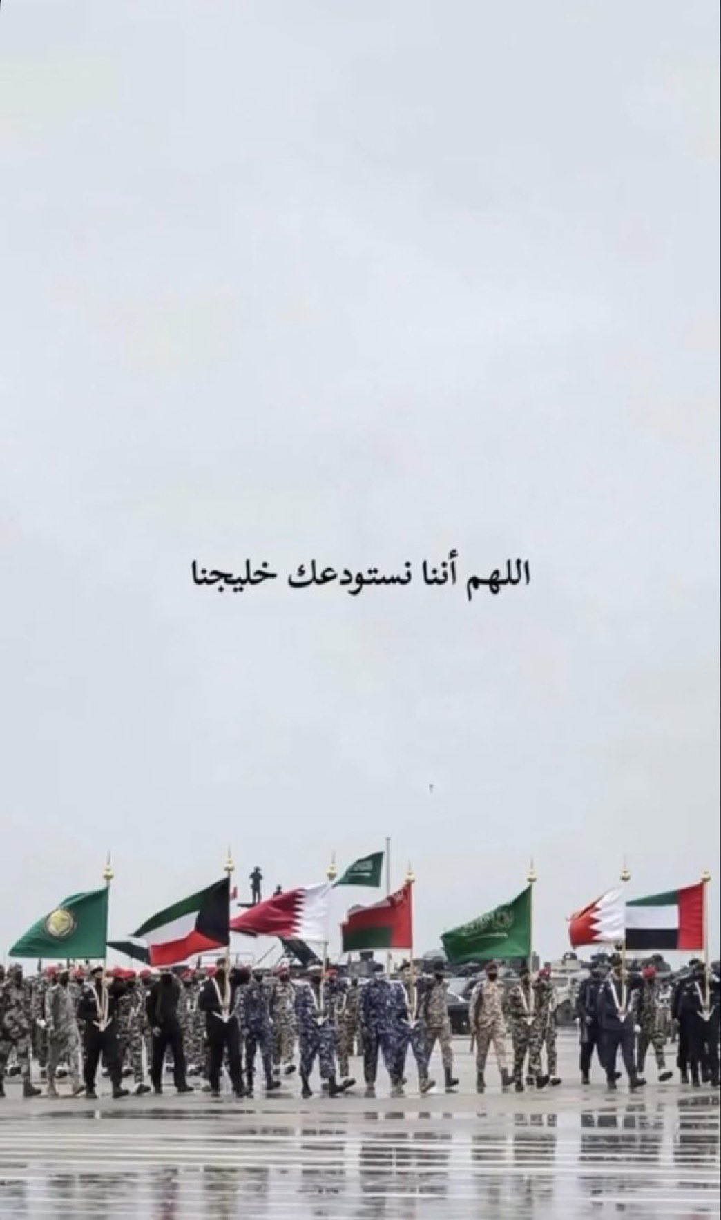IMG_9413.jpeg