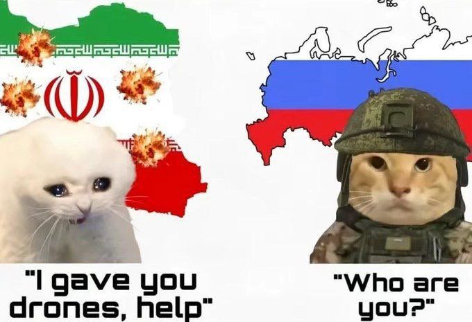1772408644302.png
