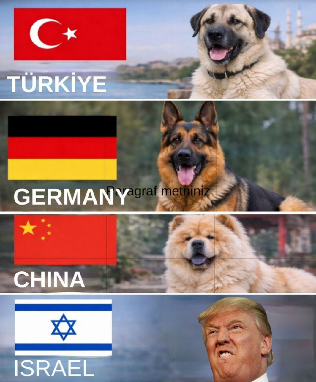 1772657811359.png