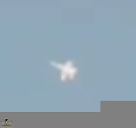 1000059608.jpg