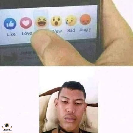 1773092623479.jpeg